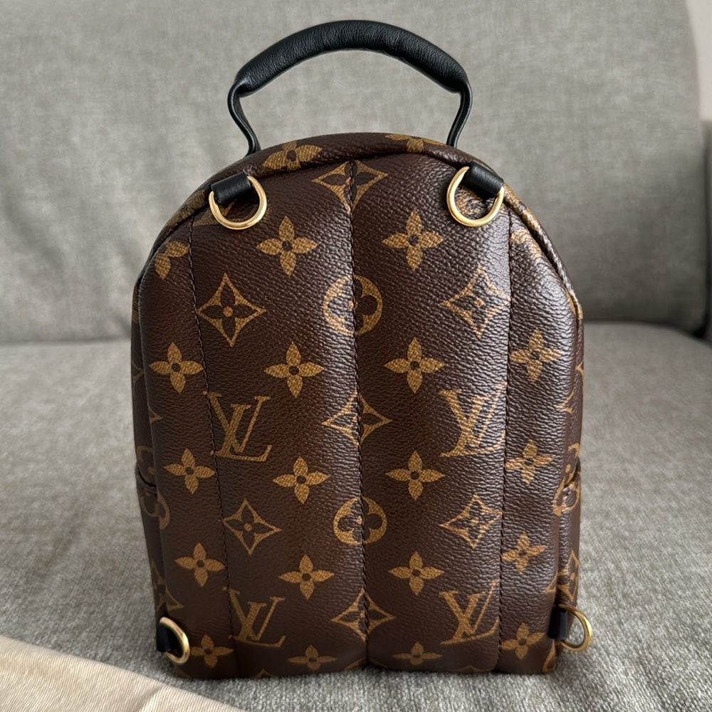 Louis Vuitton Palm Springs Mini Backpack - Picture 4 of 11